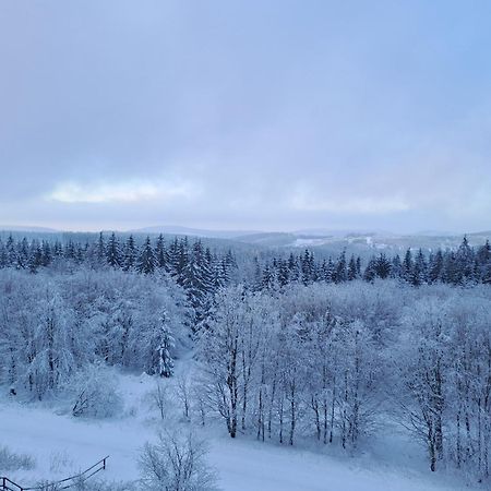 Ferienwohnung Skadi, Hahnenklee Goslar Eksteriør billede